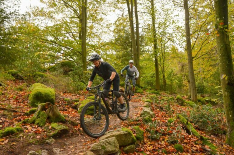 Nyt forskningsprojekt “MTB -situation i NRW”