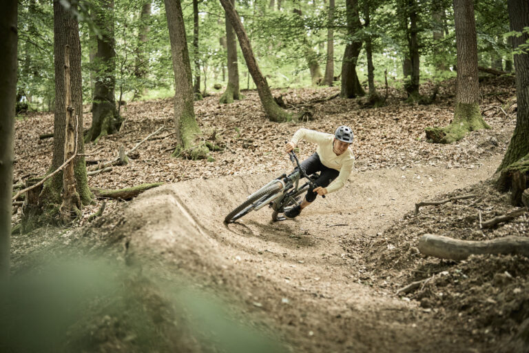 Skov.