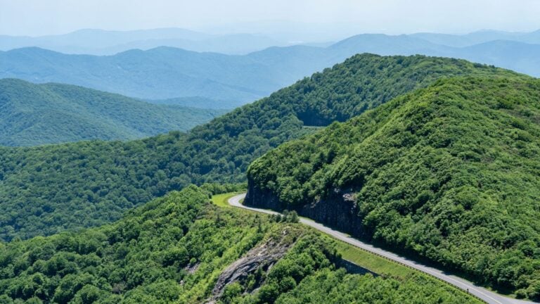 Amerikas bedste cykeltur er måske ikke i Colorado eller Californien – det er i Carolinas